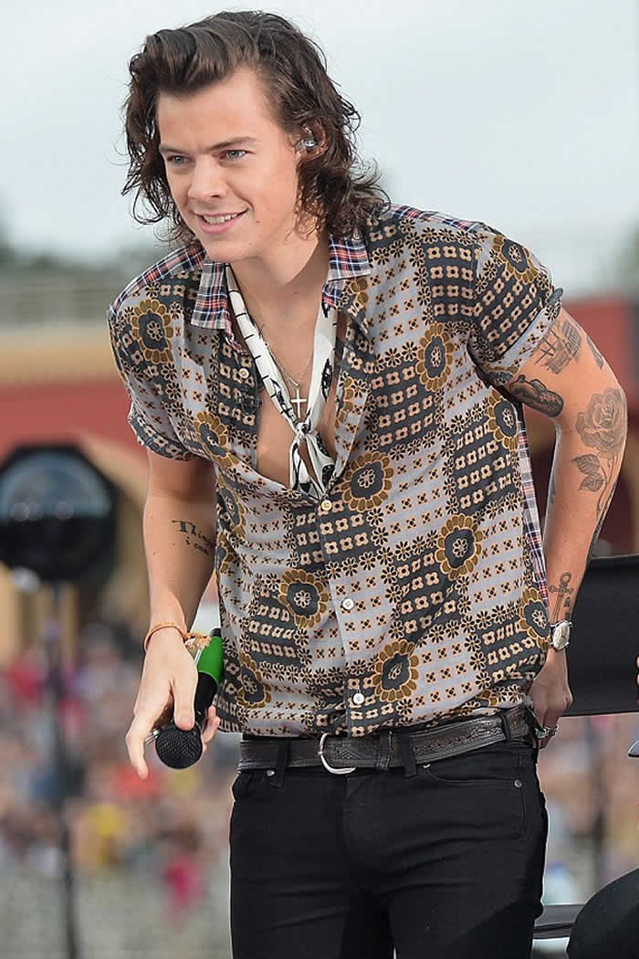 One Direction's Harry Styles has a new GIRLFRIEND? 