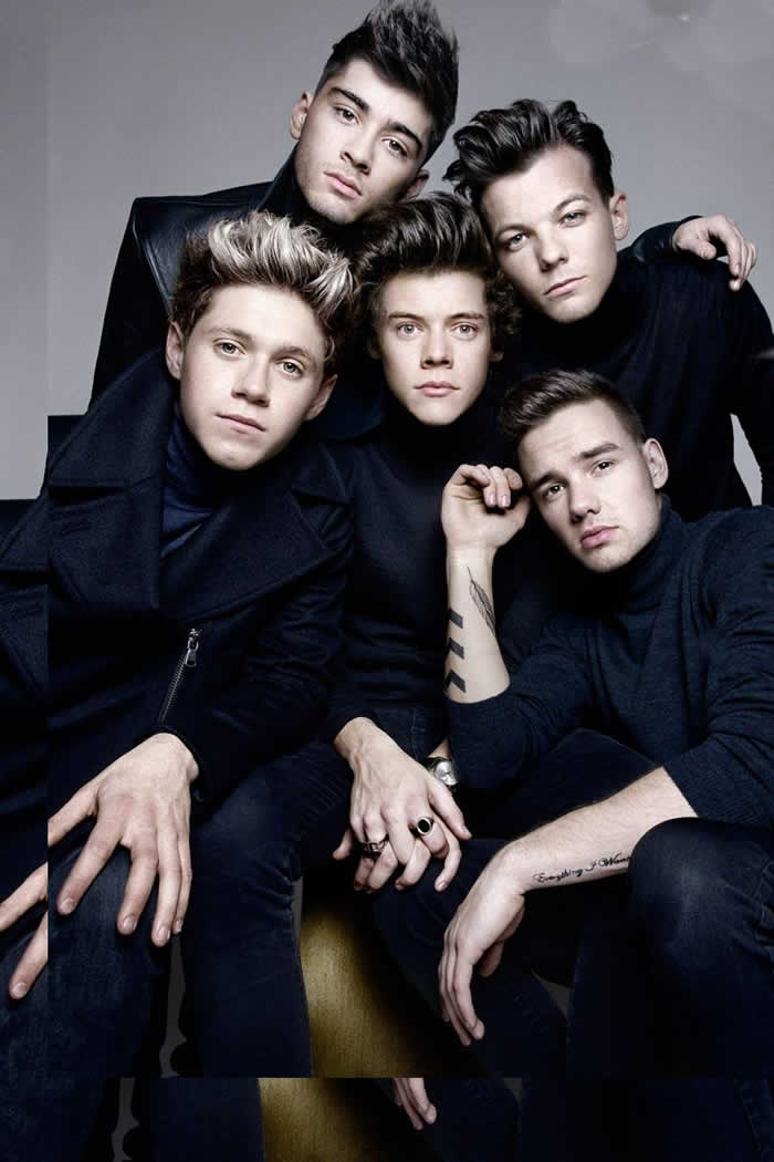 Why Do One Direction, Harry Styles, Niall Horan, And Zayn Malik Get All The Attention?