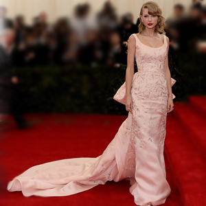 Taylor Swift's Met Gala Gown Attacked by Cat