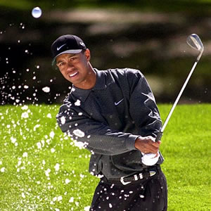 Tiger Wood In Trouble