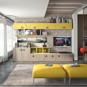 Living Room Design Ideas and Photos