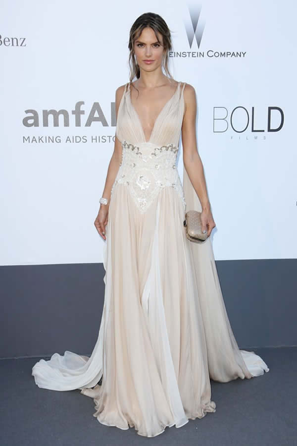 amfAR Gala 2013