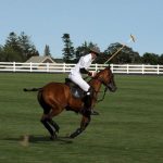 Piaget Hamptons Cup - Nacho Figueras Playing Polo