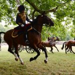 Royal Baby Celebrations - The King's Troop Royal Horse Artillery