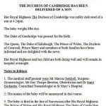 Royal Baby Celebrations - The Press Release