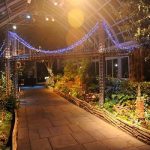 Winter Springs at New York Botanical Garden Party