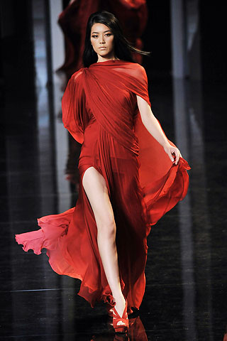 Elie Saab Couture Dress 2010