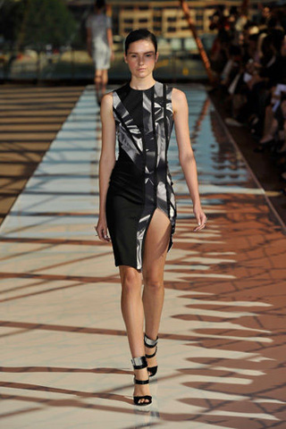 Latest Dion Lee Collection 2011