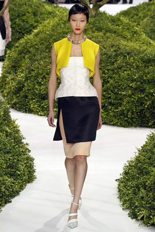 Latest 2013 Couture Collection by Christian Dior