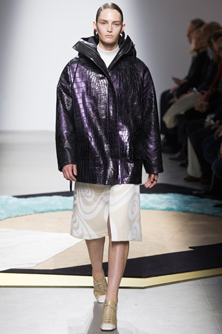 Fall/Winter 2014 Paris Acne Collection