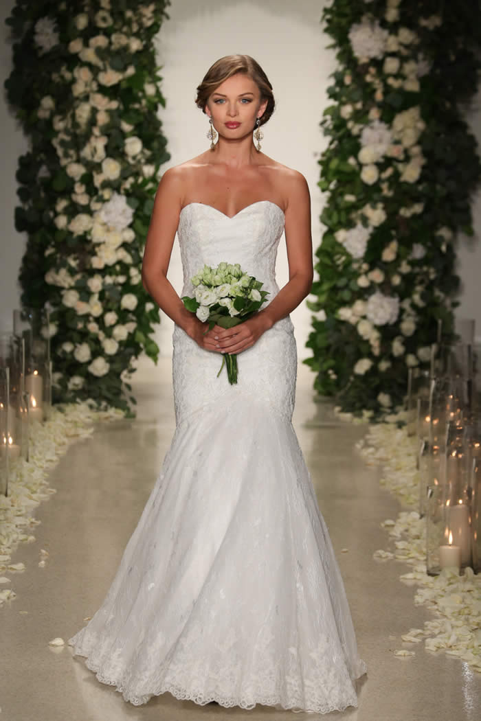 Fall Bridal  Latest Anne Barge Collection