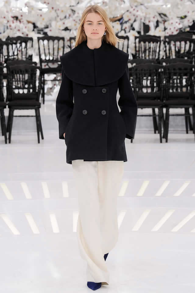 Fall Couture Christian Dior Latest 2014 Paris Collection