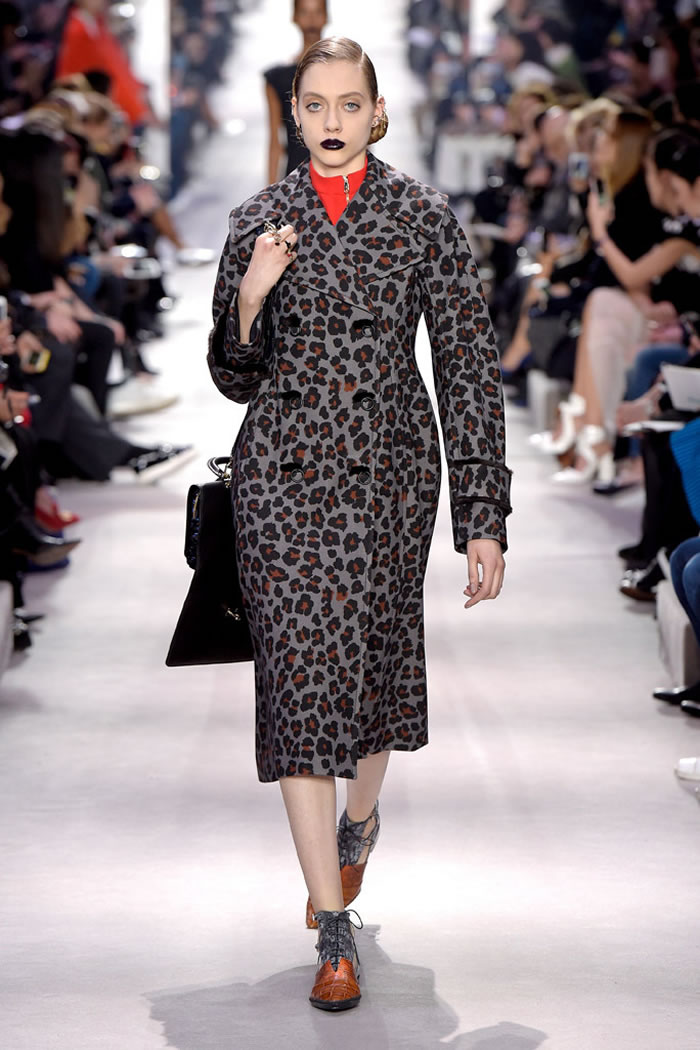 Dior 2016 Latest Fall RTW  Collection