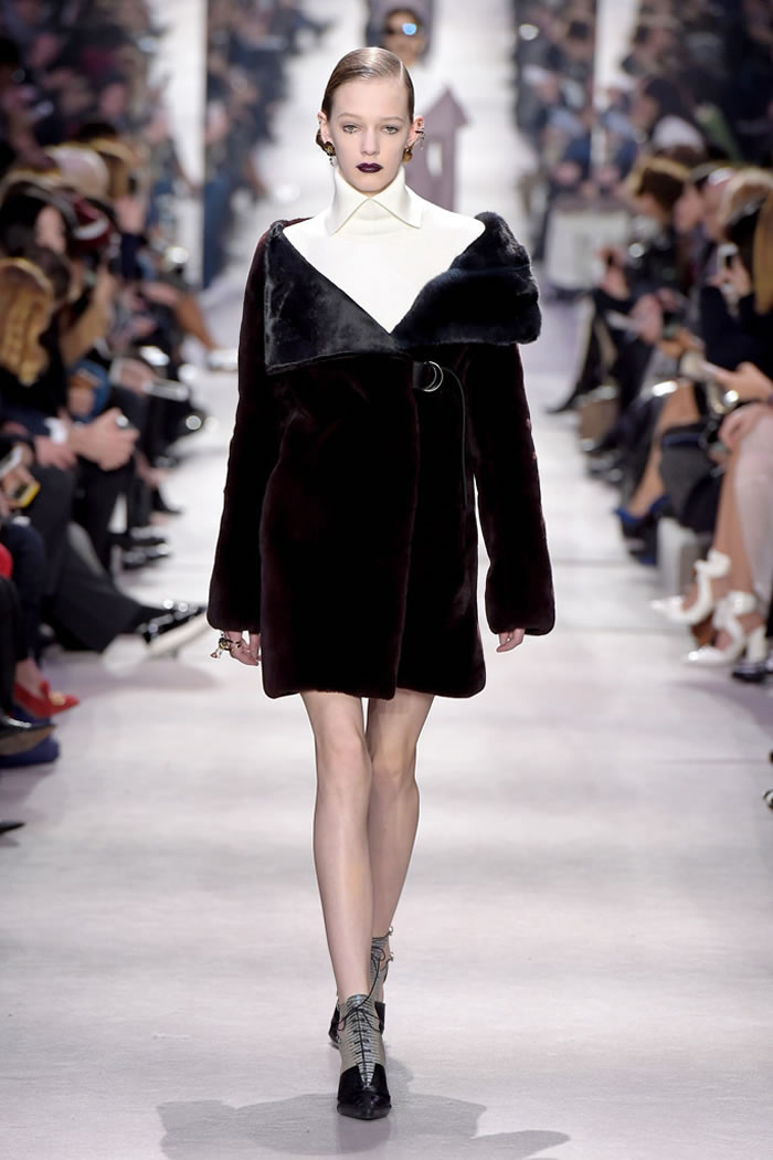 Fall RTW  2016 Dior  Collection