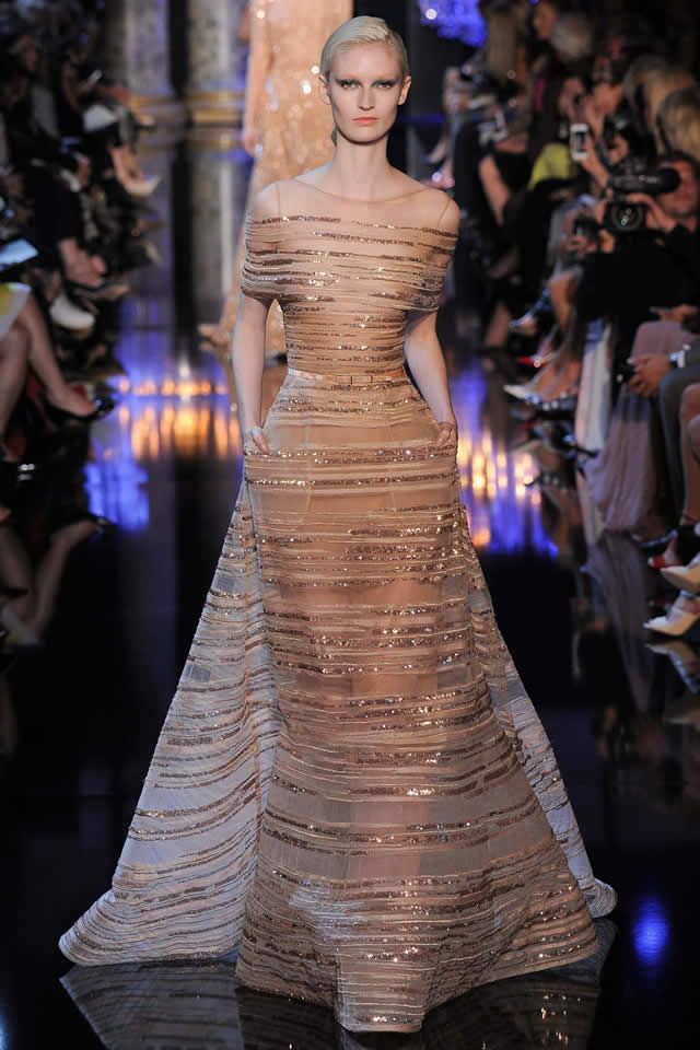 2014 Latest Paris Elie Saab Fall Couture