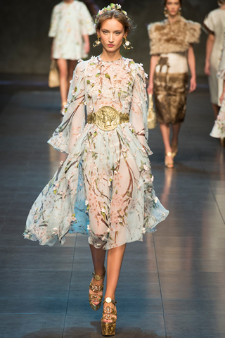 Dolce & Gabbana 2014 Spring Milan Collection