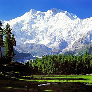 Fairy Meadows, The Heaven of Fairies - Celebrity Vacation Spots