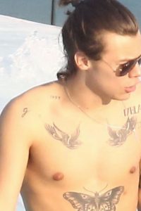 Harry Styles Confirms Rumour That He Has Four Nipples