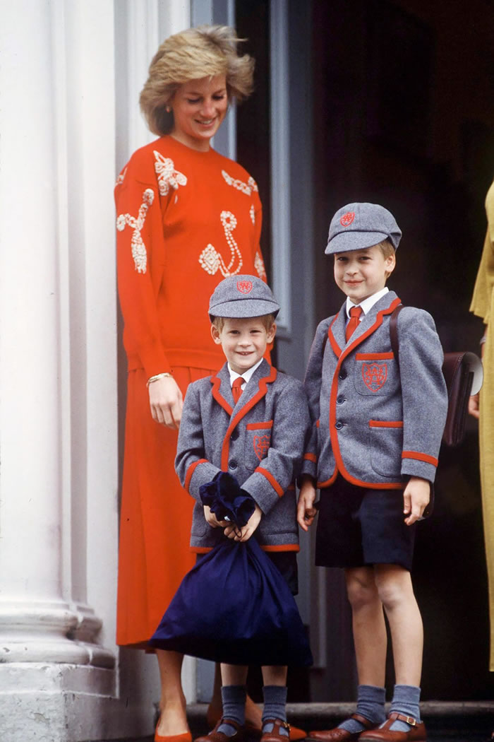 Princess Diana Feared Royal Family Would Destroy Prince William And ...