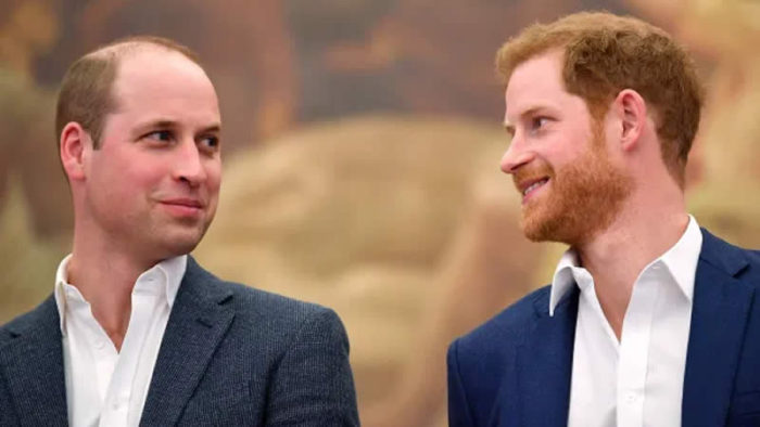 Prince William, Prince Harry