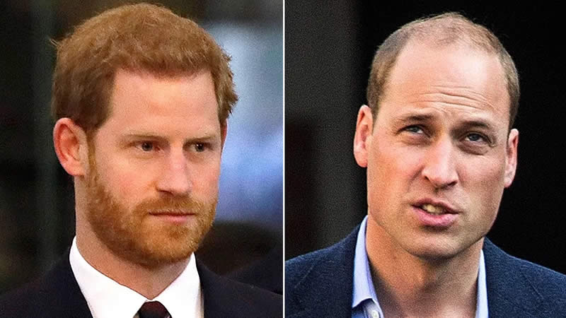 The Real Reason Prince William Is Reeling Over Prince Harry