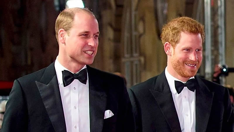 Prince Harry 'will reach out to brother William as Prince of Wales ...