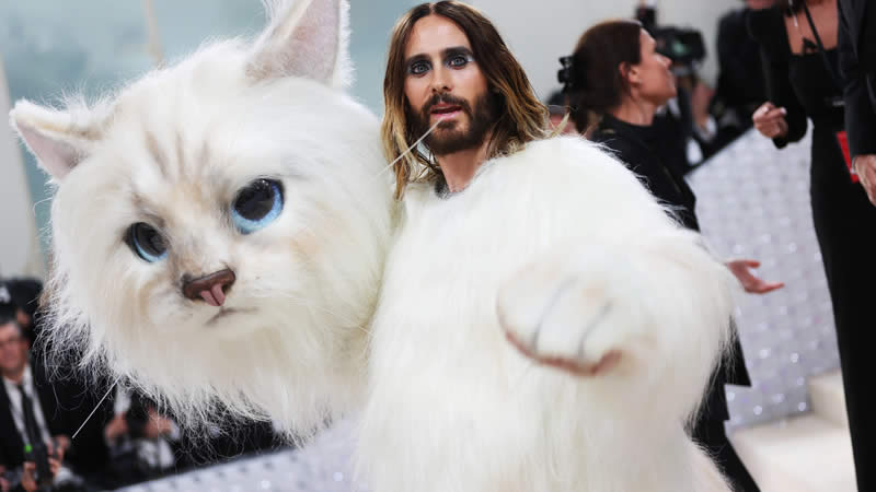 Jared Leto cat costume